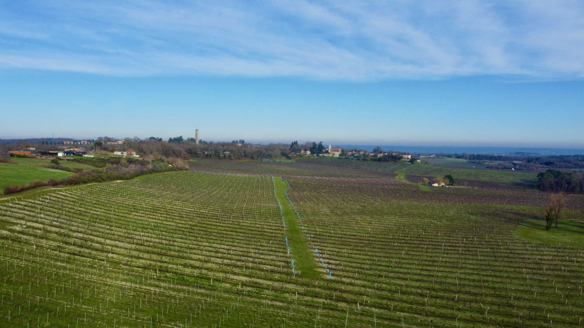 Propriété viticole au Sud de Bergerac  